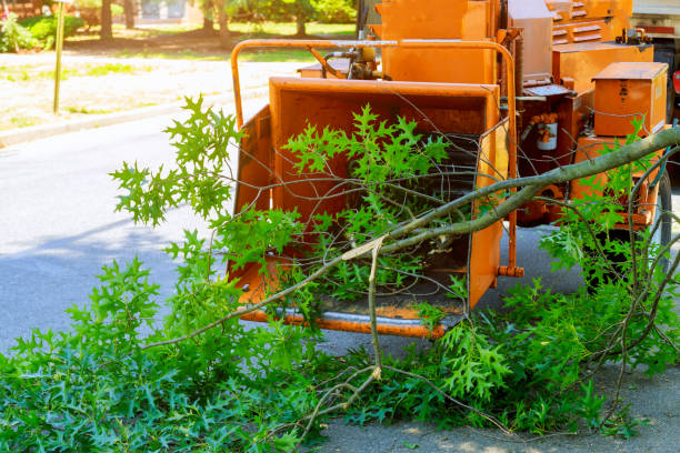  , USA Tree Care Services Pros